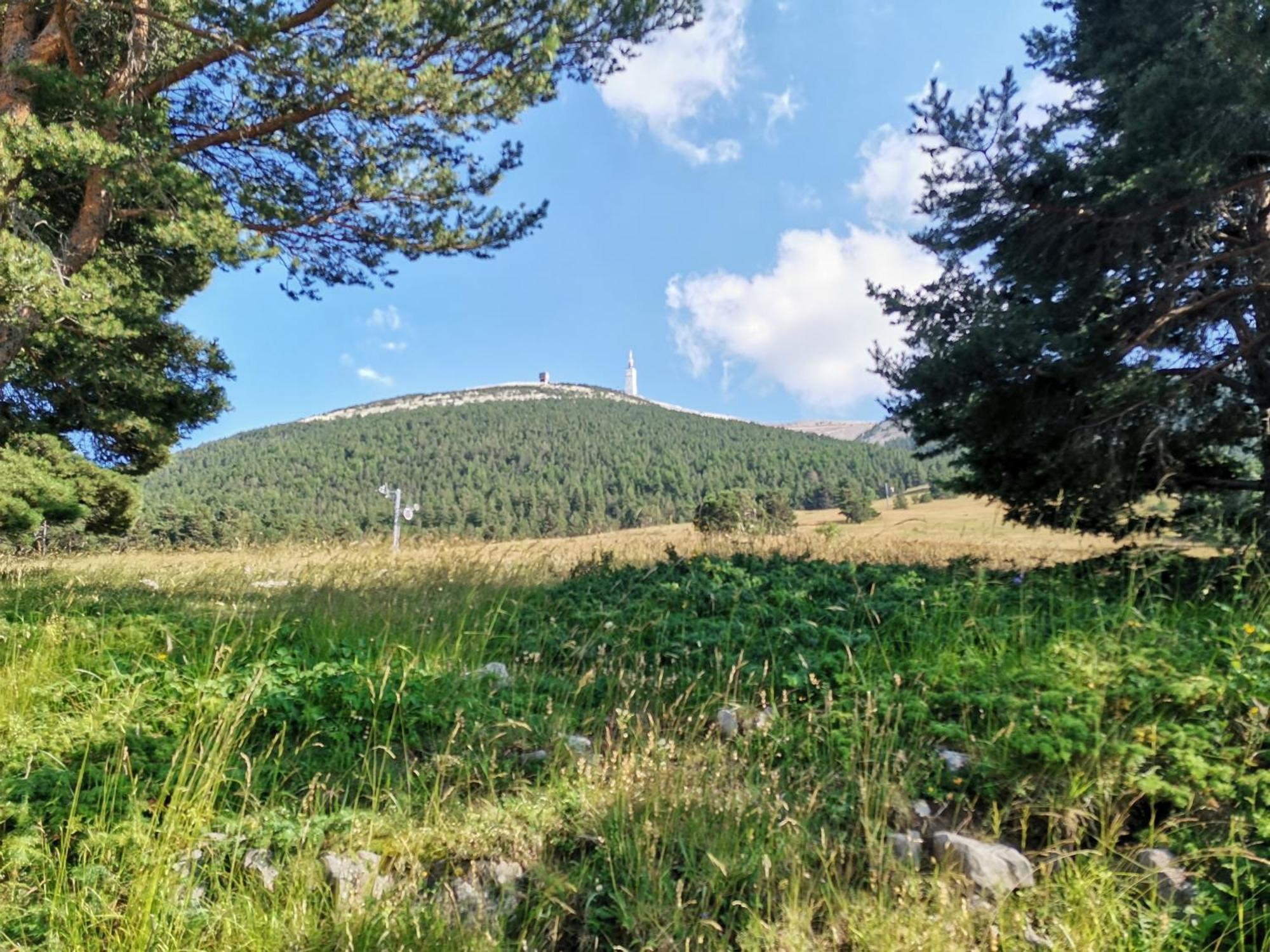 Gite En Provence Lavande Modene Exterior photo