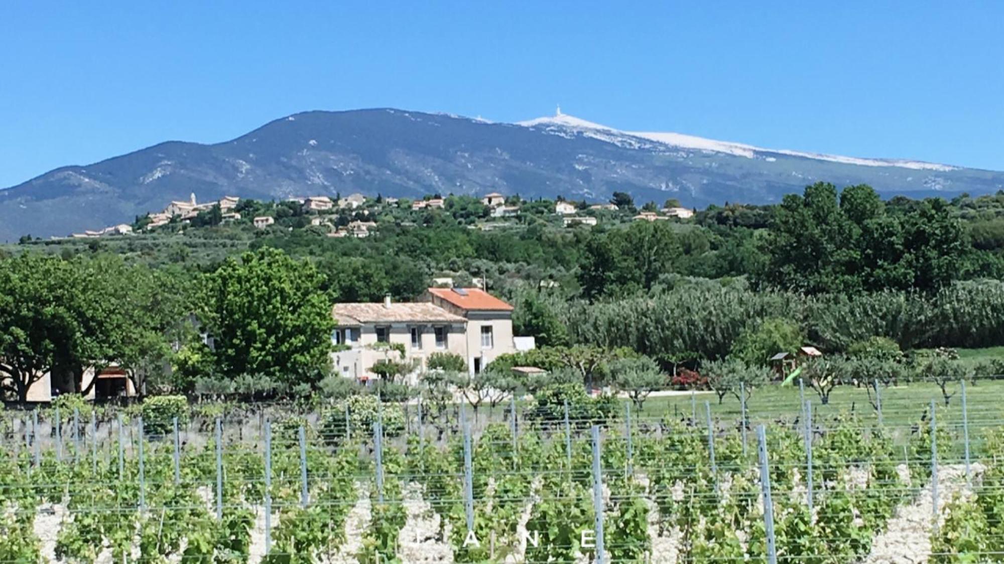 Gite En Provence Lavande Modene Exterior photo