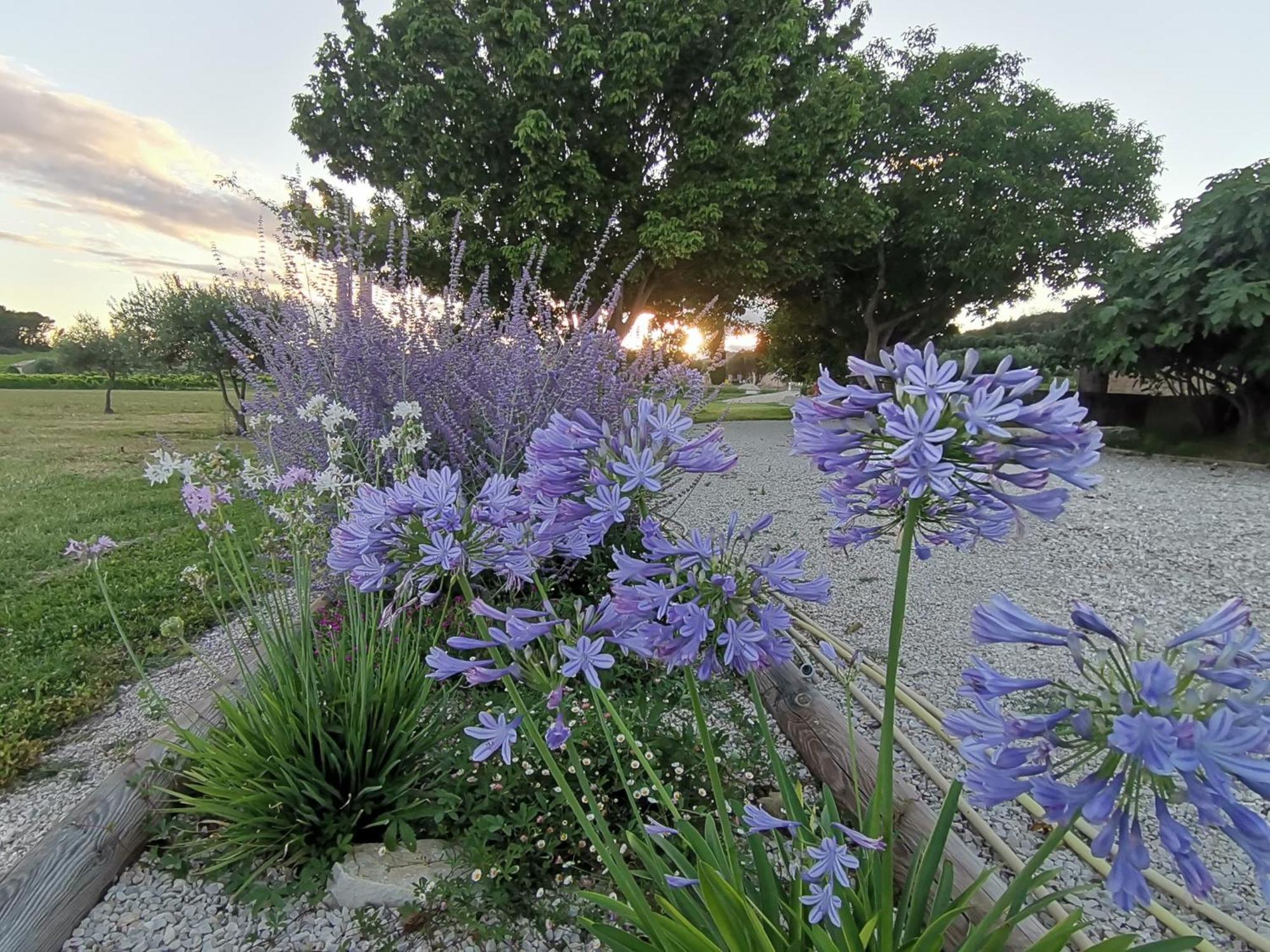 Gite En Provence Lavande Modene Exterior photo